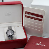 Omega Seamaster 300M 21230366101001